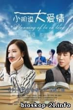 Watch Streaming Movie Planning of Be in Love (2017)