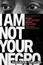 Watch Streaming Movie I Am Not Your Negro (2017)